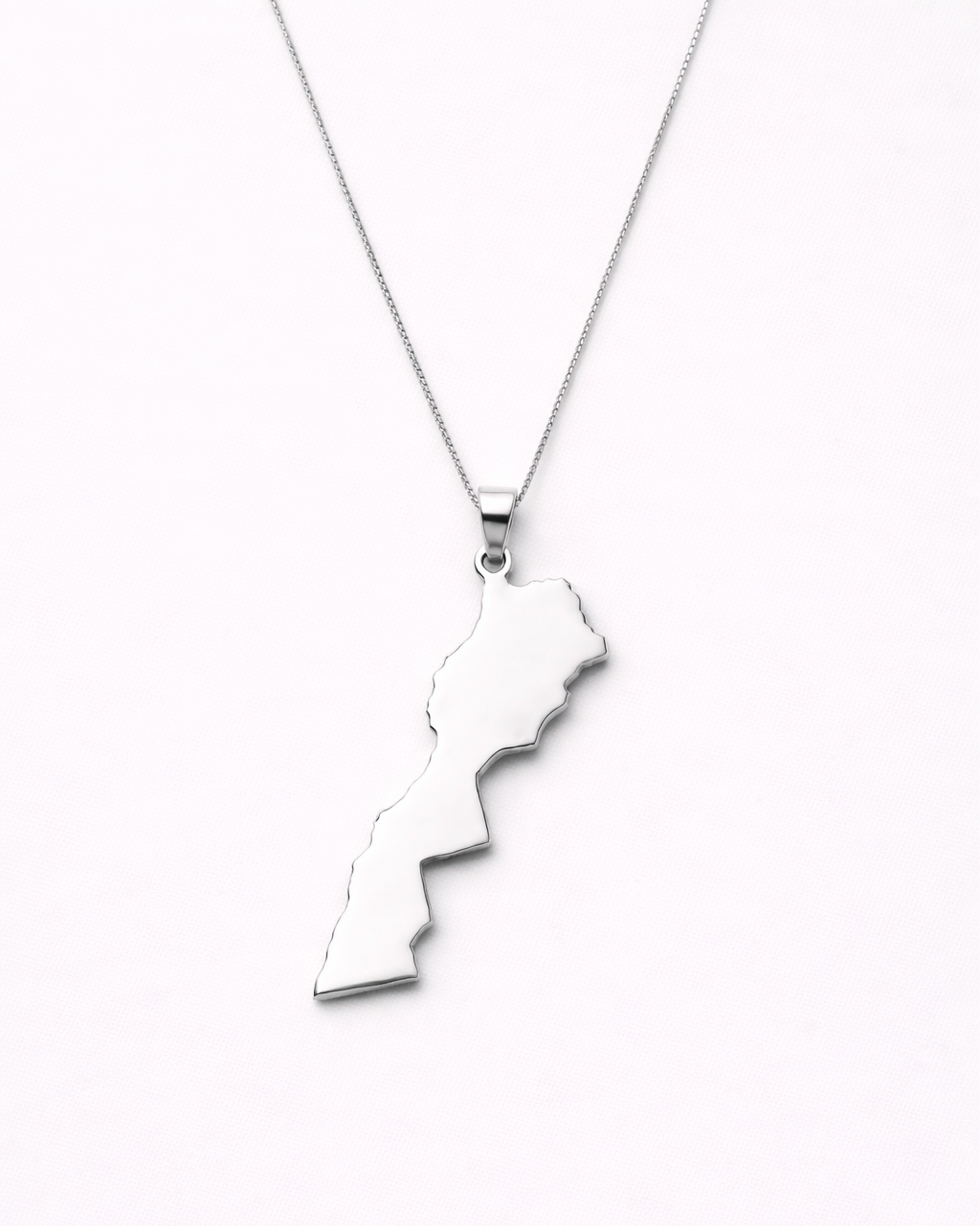 Silver necklace with a unique pendant on a white background