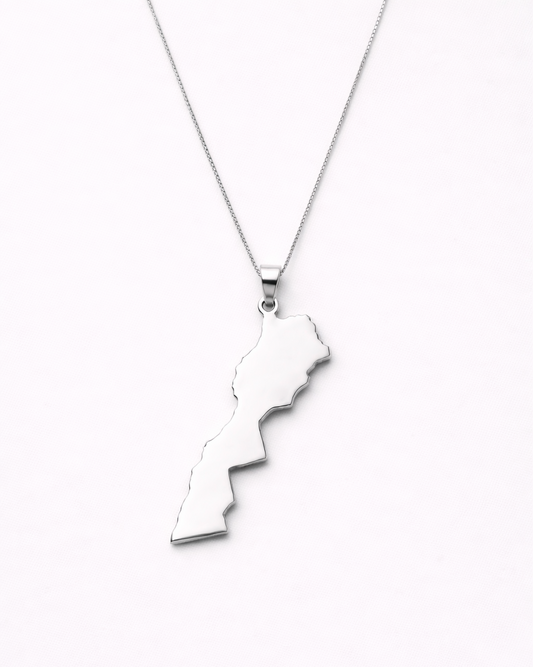 Silver necklace with a unique pendant on a white background